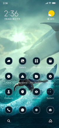 Surfer Ocean