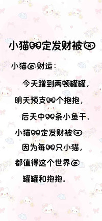 小猫一定发财被爱