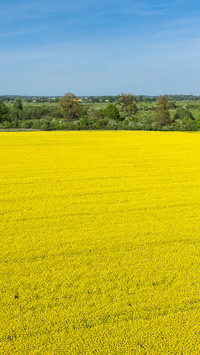 Farmland fields