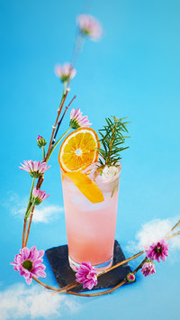 午后红柚花园
