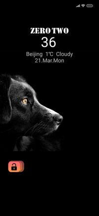 Black Dog