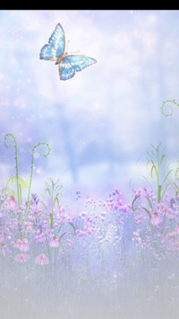 独特橱窗设计+花