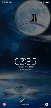 白天鹅