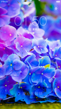勿忘我(动态羽毛锁屏)