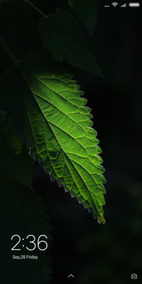 Dark green