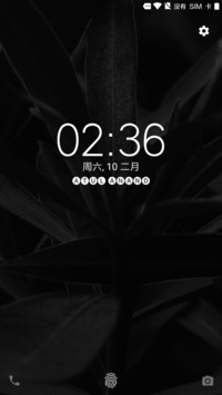 Pixel