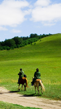 Mongolian grasslands