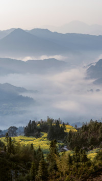 Morning fog over the sea of flowers in Wuyuan