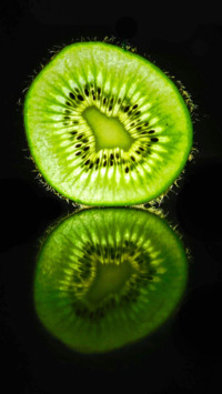 Macro  (5)
