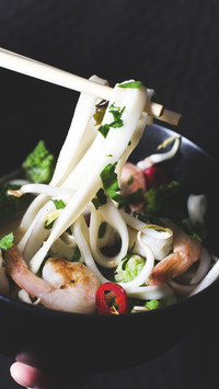 noodle (1)