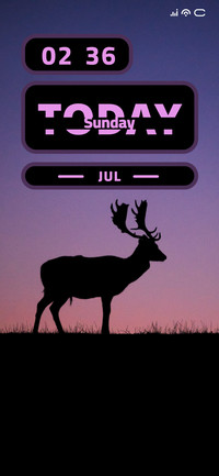 Deer Amoled