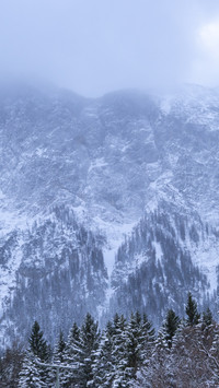 The Zugspitze in the Blizzard