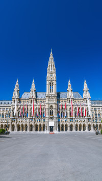 The double temptation of Vienna 56