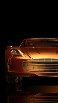 Top Gear (8)
