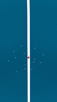 The sky is so high that birds can fly freely