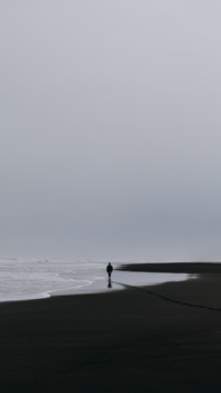Dark (28)