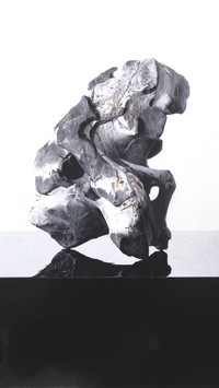 画家陈勇劲作品