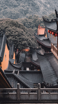 Do you have Foyuan around you 37