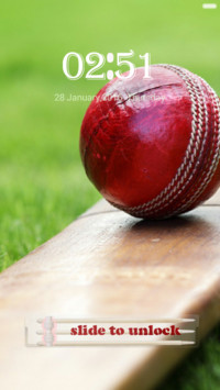  IN Cricket