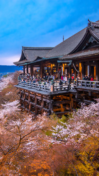 秋日旅途