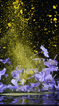 Blue snowflakes and yellow pigments