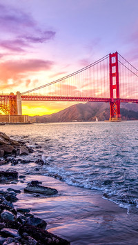 Bridge (6)