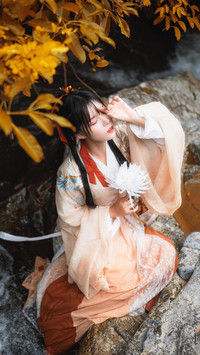 昙花仙