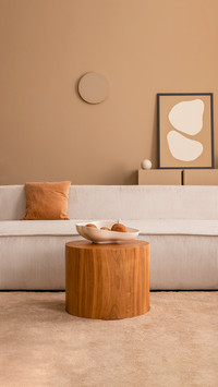 Interior design of aesthetic living room interior