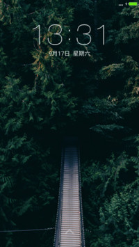 路