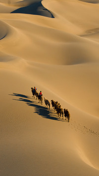 Explore the mysteries in the history of 4