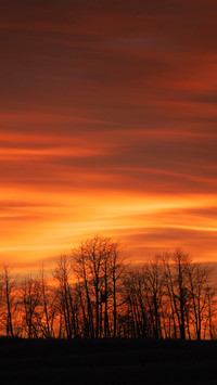 Winter Twilight