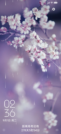 花样