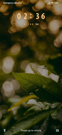 Monsoon Leaf_3MDS