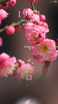 桃花唯美盛开（炫酷充电动画）