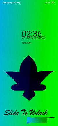 Green Light_DWM4