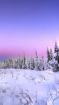 The paradise of gradual change