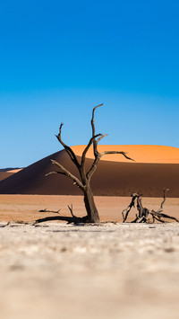 Pure desert