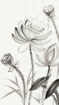 植物插画-拍信图库