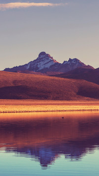 Landscape vegetation