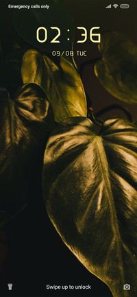 Leaf Colors_3MDS