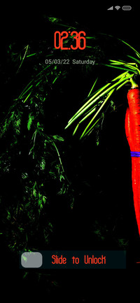 Carrot