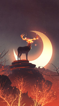 Illustration of a deer