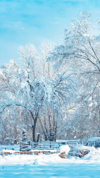 Winter snowscape
