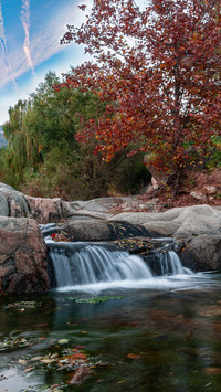 Autumn colors stretch endlessly