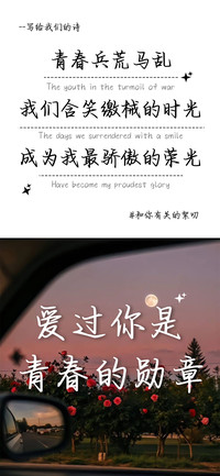 爱过你是青春的勋章