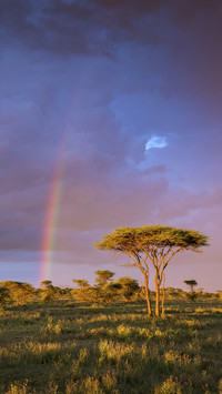 The African continent 0 at the end of the world
