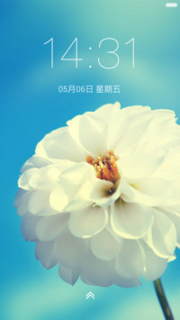 美丽鲜花