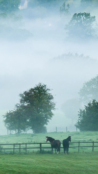International-Cotswold Village