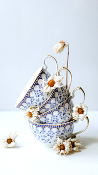Elegant vintage cups with a blue pattern and dried flowers