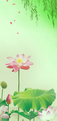 爱莲说  动态